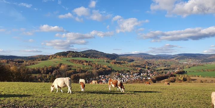 Berggasthof Queste